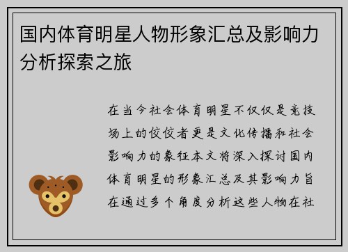国内体育明星人物形象汇总及影响力分析探索之旅